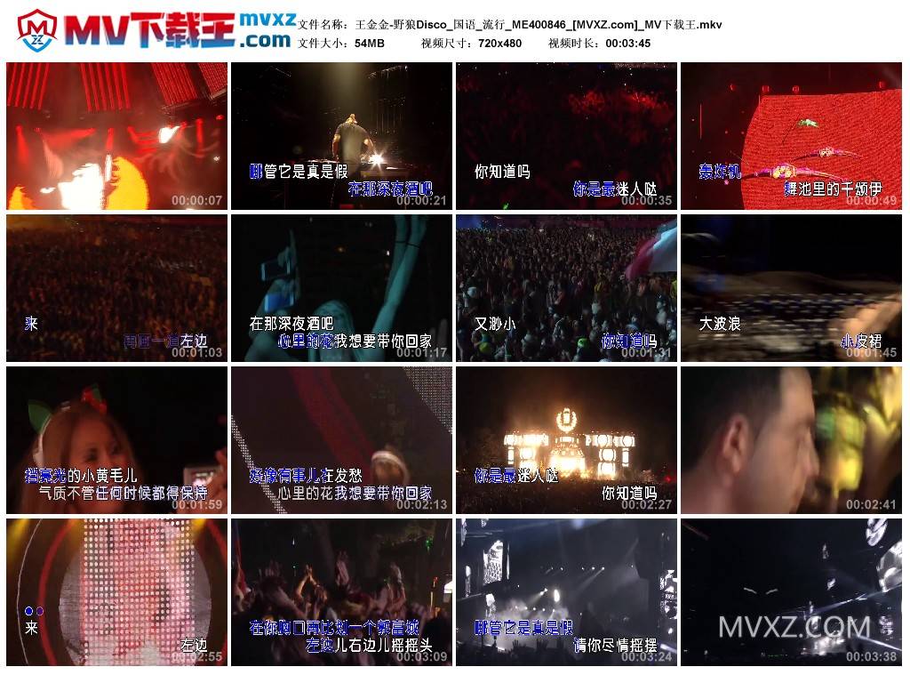 王金金-野狼Disco_国语_流行_ME400846